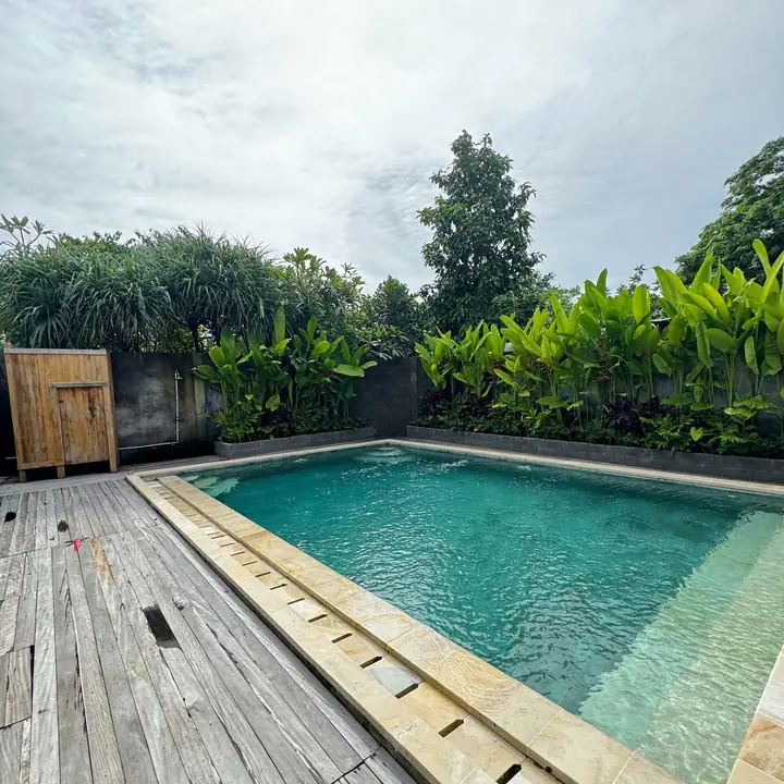 Swimming pool framed by tropical plants